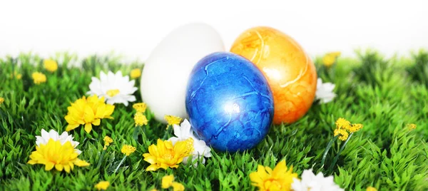 Синій пасхальне яйце у фокусі — стокове фото