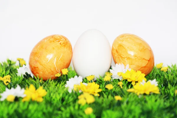 Beautiful Easter Eggs — Stock Photo, Image