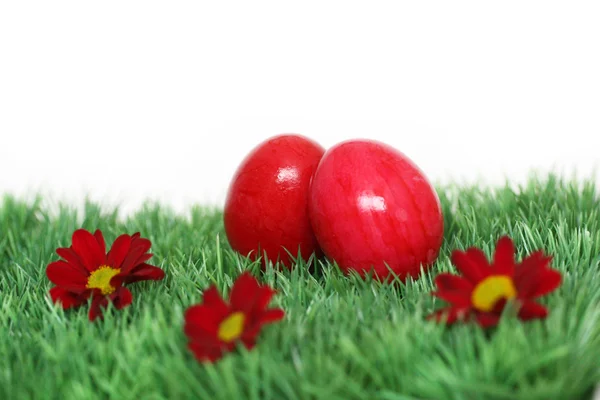 Красные пасхальные яйца — стоковое фото