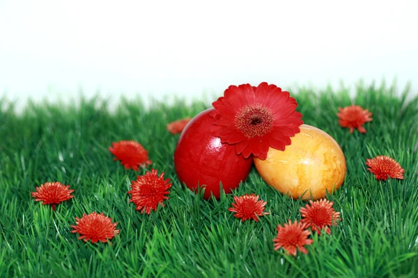 Flores vermelhas e ovos coloridos — Fotografia de Stock