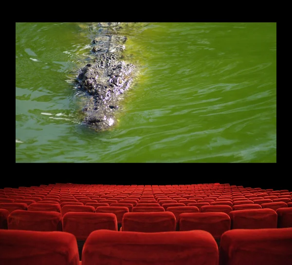 Film in the cinema — Stock Photo, Image