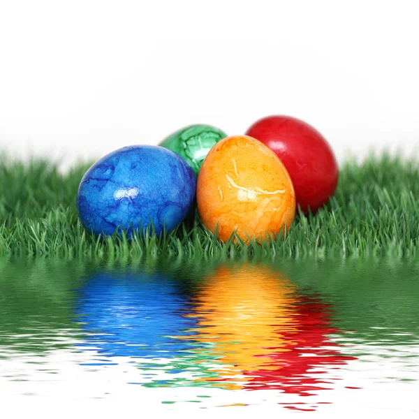 Mistura de ovos colorida — Fotografia de Stock