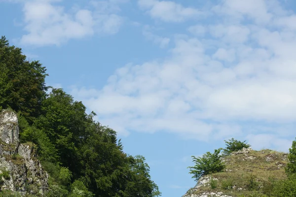 stock image On the mountain