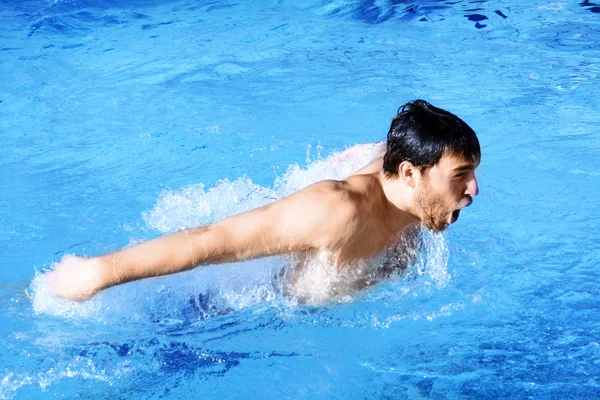 Nadador de borboletas na piscina — Fotografia de Stock