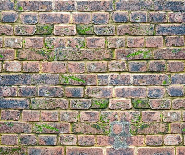 Alte Ziegelmauer — Stockfoto