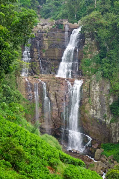 Ramboda falls — Stock Photo, Image