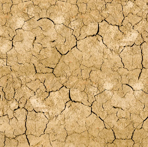 Эрозия почвы — стоковое фото