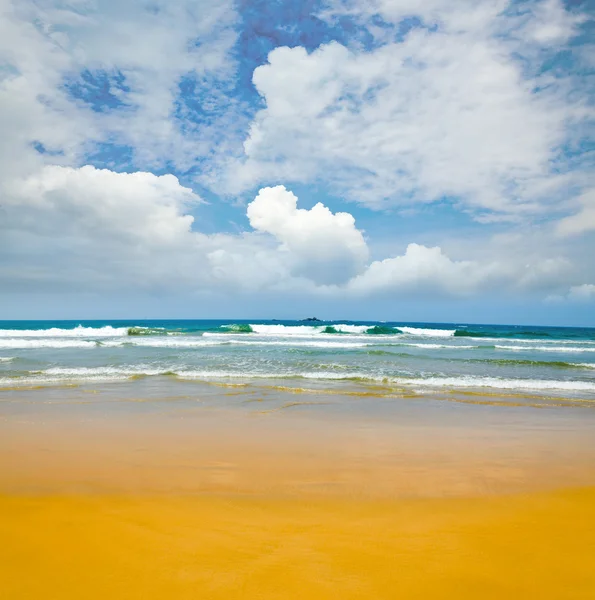 Sandy deserted beach — Stock Photo, Image