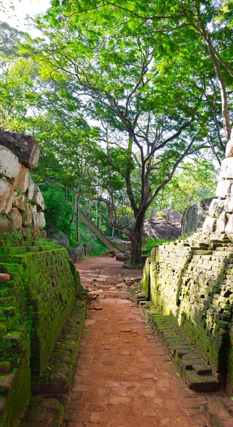 Passo a passo em um parque perto do monte Sigiriya, Sri Lanka (Ceilão ). — Fotografia de Stock