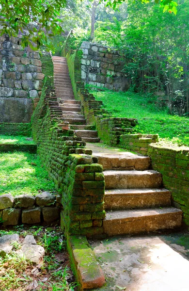 Steps and the ruins of the royal palace and the park of Sigiriya — Stock Photo, Image