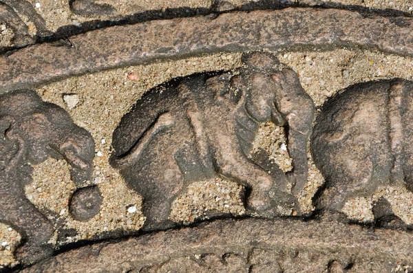 Éléphants sur la roche lunaire de l'ancien Vatadage — Photo