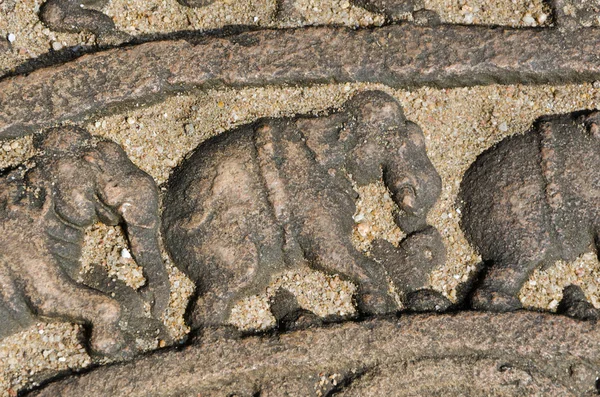 Elephants on the lunar rock of ancient Vatadage — Stock Photo, Image