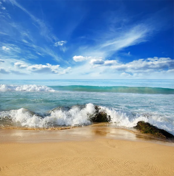 Каміння в хвилях на узбережжі океану — стокове фото