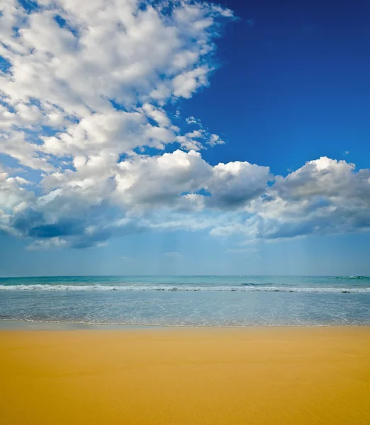 Sandy deserted beach — Stock Photo, Image