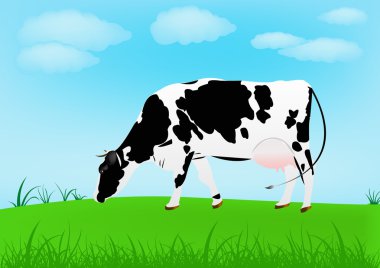 Cow over spring green meadow clipart