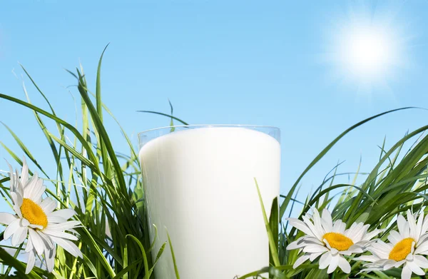 Fresh glass milk — Stock Photo, Image