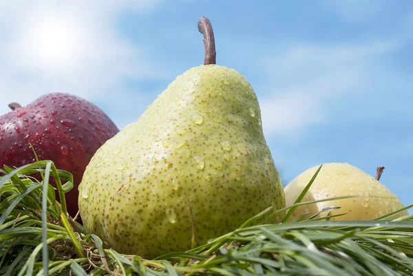 Ripe pear and apple over green grass — Stock Photo, Image