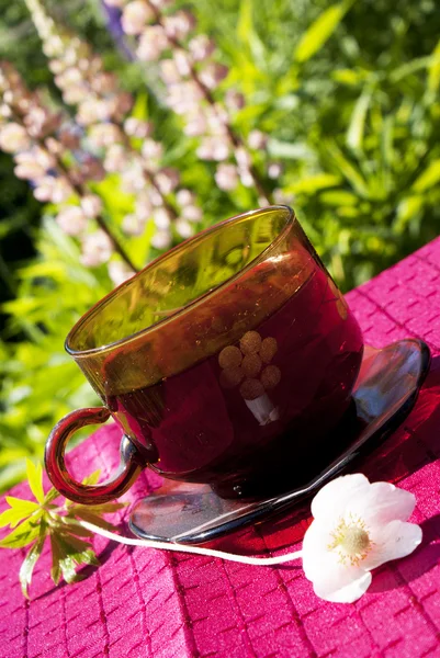 Black tea upon green plants background — Stock Photo, Image