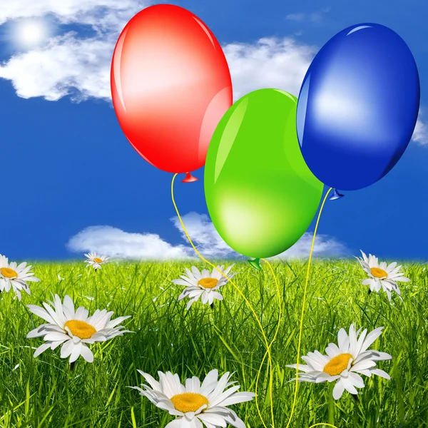 Celebratory balloons on a green summer meadow — Stock Photo, Image