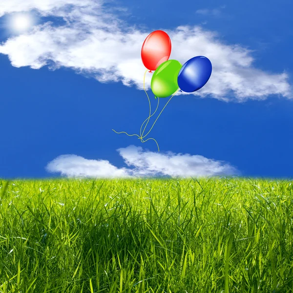 Celebratory balloons on a green summer meadow — Stock Photo, Image