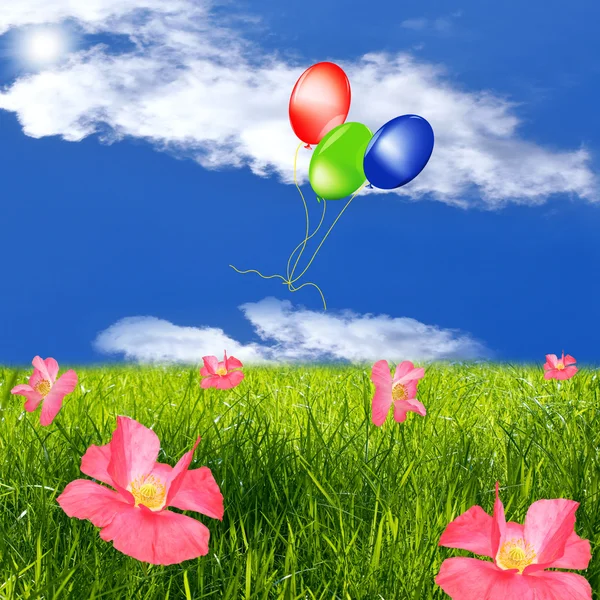 Balões comemorativos em um prado de verão verde — Fotografia de Stock