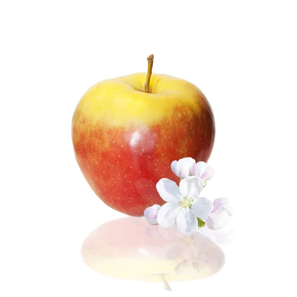 The red apple and flowers over white background — Stock Photo, Image