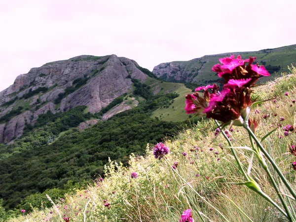 Landskap i bergen Krim. — Stockfoto
