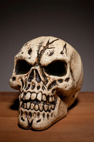 Crânio humano com espaço de cópia — Fotografia de Stock