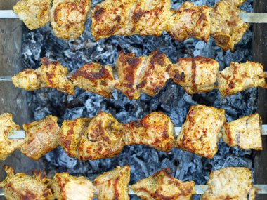 iştah açıcı kebab.