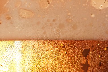 Beer foam. clipart