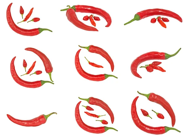 Conjunto de pimenta do chile quente vermelha . — Fotografia de Stock