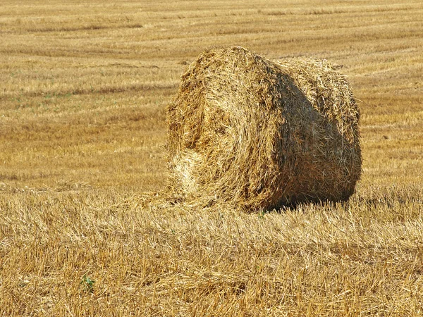 Stack of hay. — Stock Photo, Image
