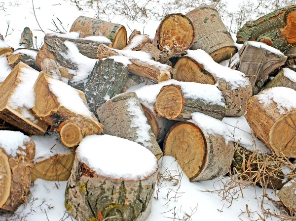 Stapel brandhout. — Stockfoto