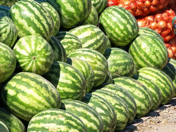 Melons d'eau. — Photo