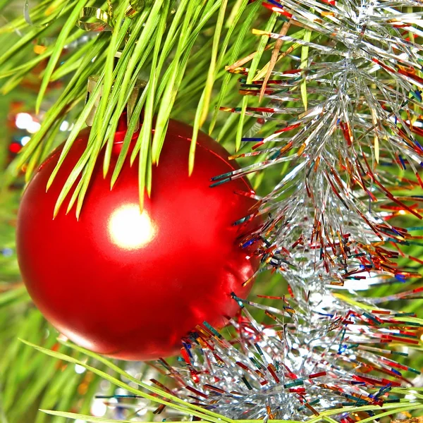Bola de Natal vermelha colorida em um ramo de pinheiro . — Fotografia de Stock