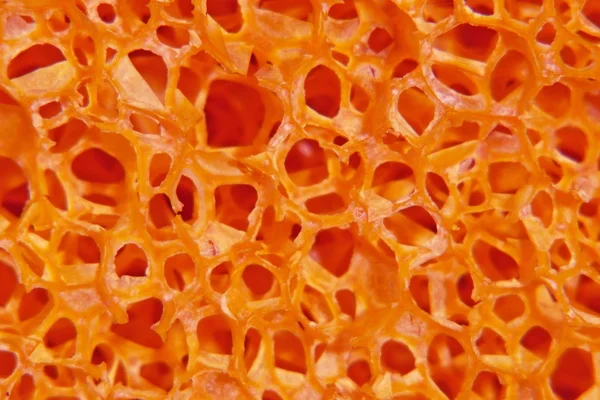 Rote poröse Struktur. — Stockfoto