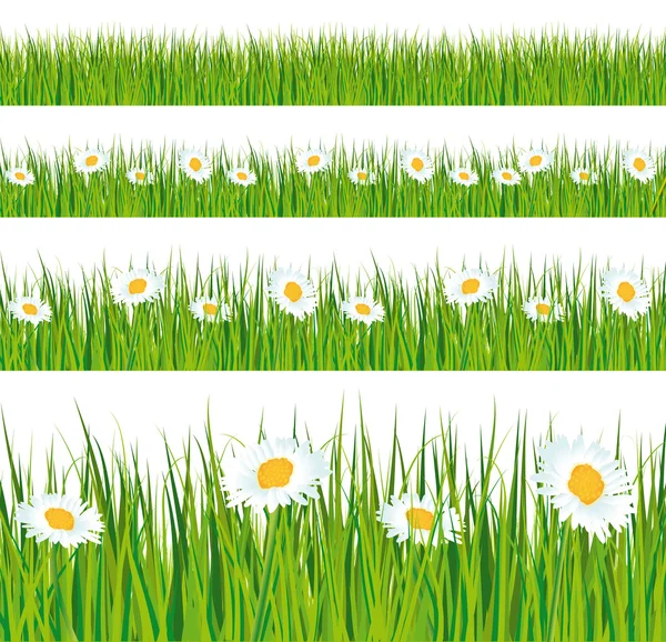 绿色的草和雏菊小条. — 图库矢量图片