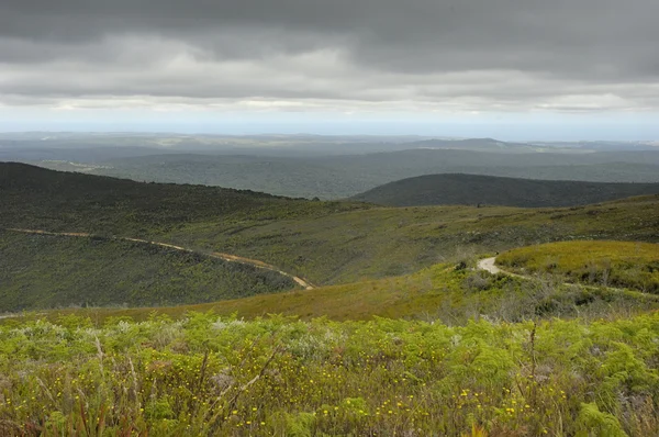 stock image View from Sir Alfred Pass, South Africa