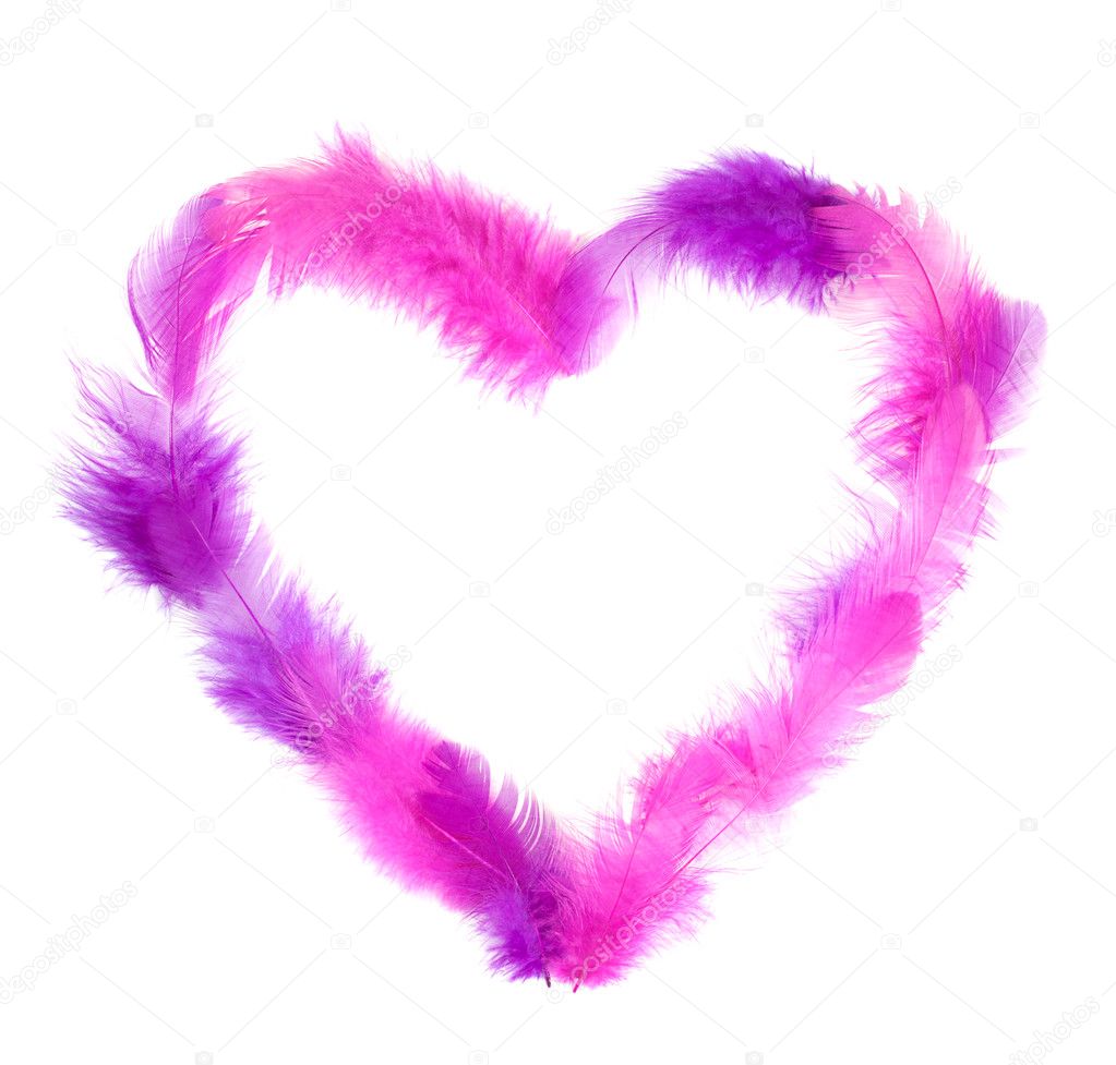 Heart in pink feathers isolated on white