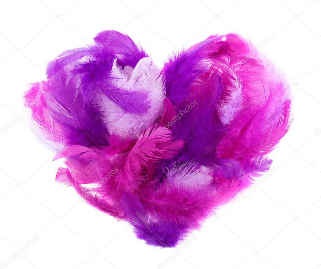 Heart in pink feathers isolated on white
