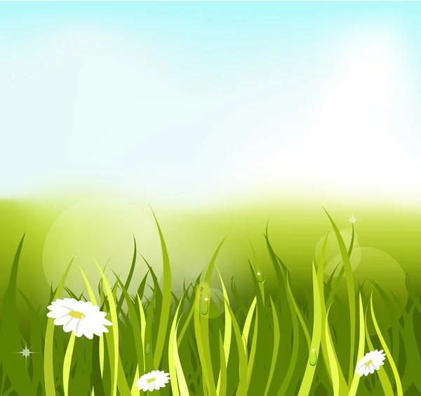 Illustration du printemps — Image vectorielle