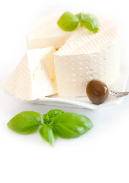 Білий сир — стокове фото