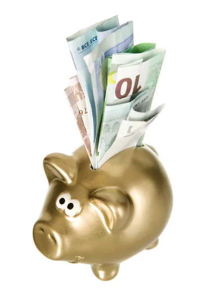 Gyllene piggybank med pappers-pengar — Stockfoto