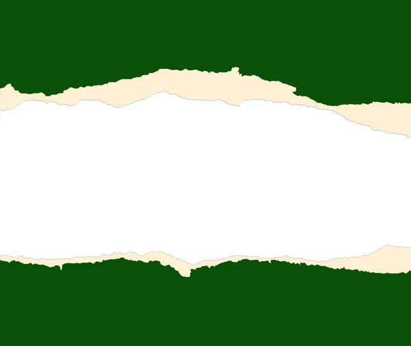 A green sheet of paper is teared in two — Zdjęcie stockowe
