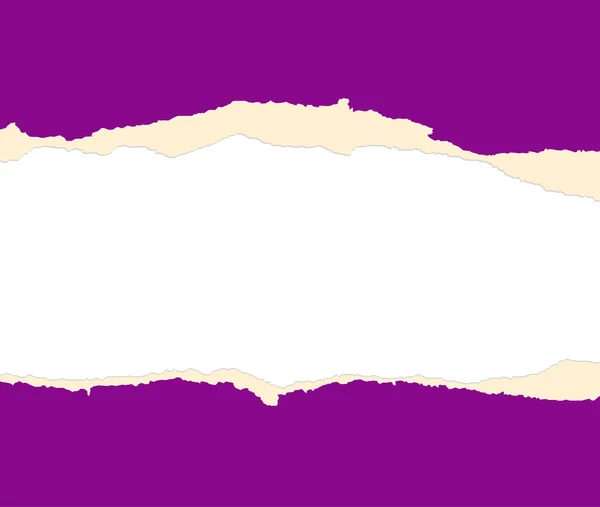 Een violette vel papier is gescheurd in twee — Stockfoto