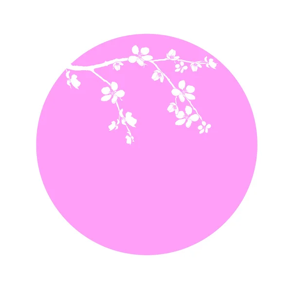 Branch of beautiful cherry blossom in circle — Stock Photo, Image