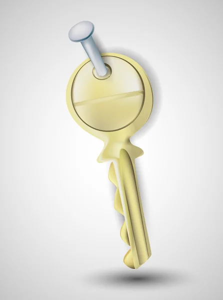 Key isolated on gray background — Stock Vector