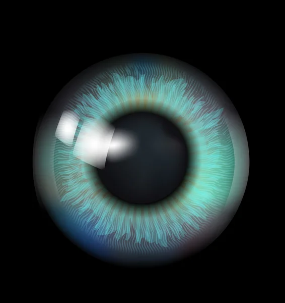 Hermoso globo ocular — Vector de stock