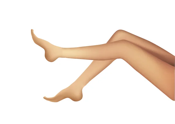 Woman Realistic Legs — Stock Vector