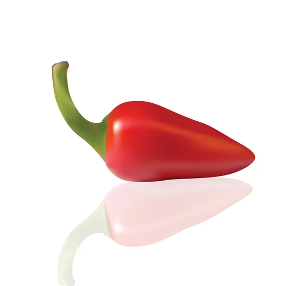 Červené chilli izolované na bílém — Stockový vektor